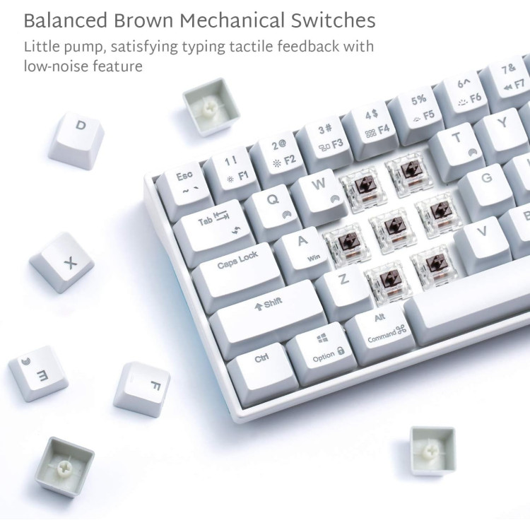 ROYAL KLUDGE RK71 藍牙/USB type C 機械鍵盤RGB