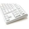 Filco 87key Majestouch Convertible 3 HAKUA US