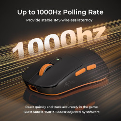 RK ROYAL KLUDGE RK M30 Wireless Gaming Mouse