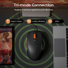 RK ROYAL KLUDGE RK M30 Wireless Gaming Mouse